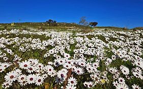 Crystal Lagoon Lodge